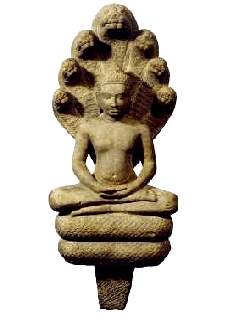 Nagas